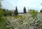 Vårbilder 2007