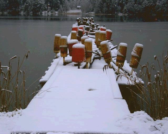 bild1