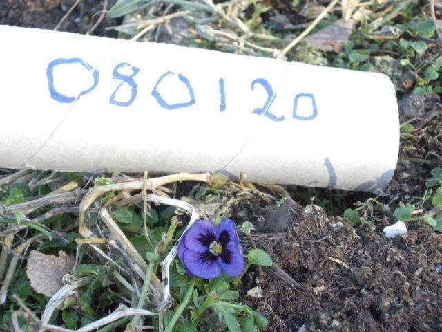 bild2