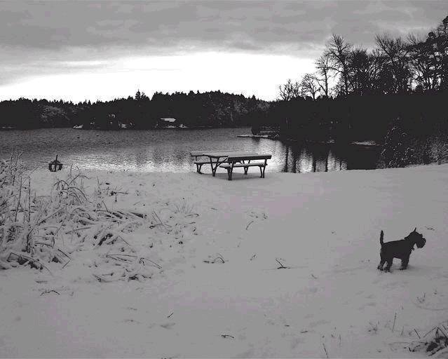 bild3