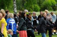 midsommar20096_small.jpg