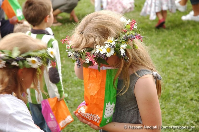midsommar201130.jpg