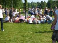 midsommar20131_small.jpg