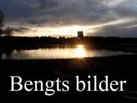 bengtsbilder_small.jpg