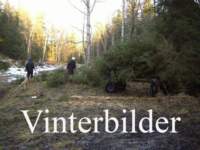 vinter_small.jpg